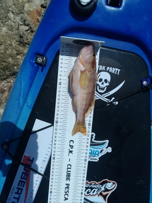 Fish Measure Picture